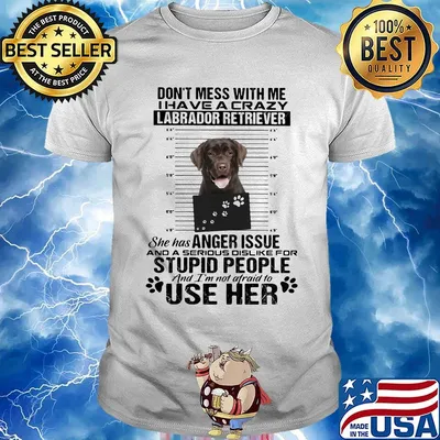 Don't mess with me i have a crazy labrador retriever she has anger issue and a serious dislike for stupid people shirt
