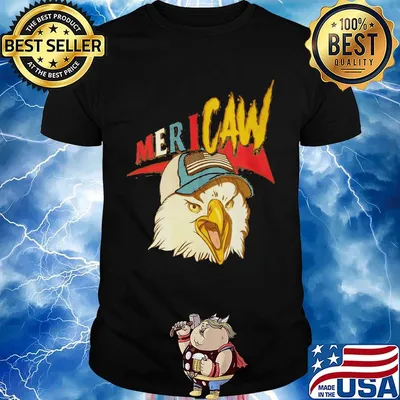 Eagles mericaw american flag independence day shirt