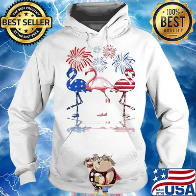 Flamingo firework american flag independence day s Hoodie