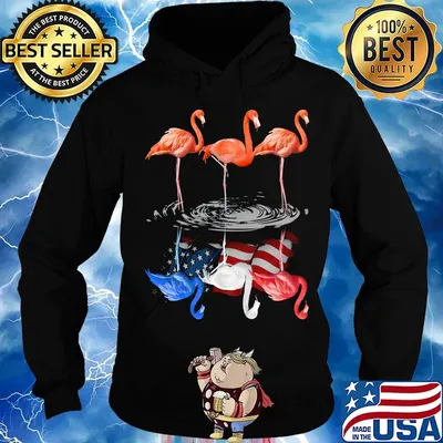 Flamingo With Special Shadow Independence Day Shirt Hoodie
