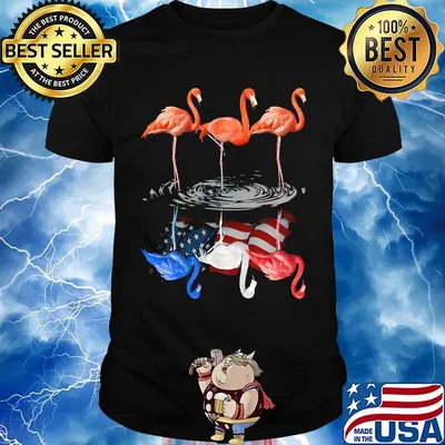 Flamingo With Special Shadow Independence Day Shirt