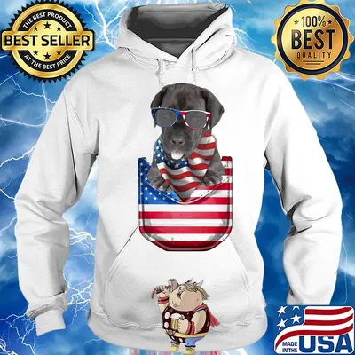 Great dane pocket american flag independence day s Hoodie