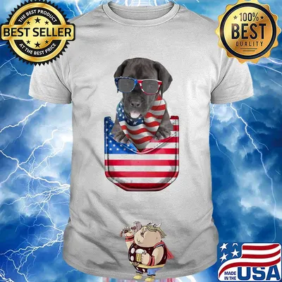 Great dane pocket american flag independence day shirt