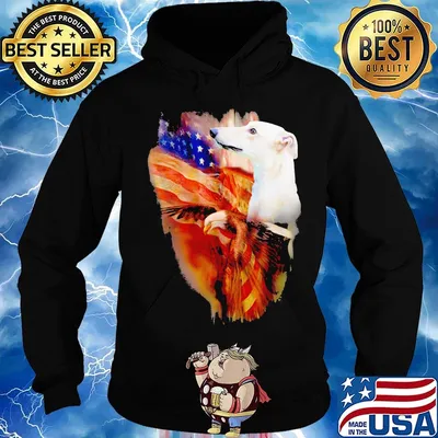 Greyhound American Wings Independence Day Shirt Hoodie