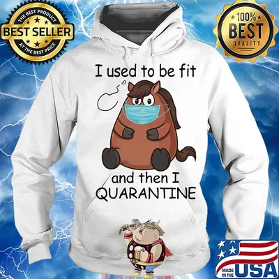 Horses mask I used to be fit and then I quarantine s Hoodie