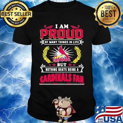 I am proud of many things in life but nothing beats being a st. Louis cardinals fan shirt