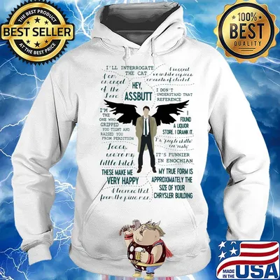 I'll interrogate the cat hey assbutt i found a liquor store i drank it these make me very happy s Hoodie
