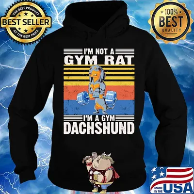 I'm Not A Gym Rat I'm A Gym Dachshund Gym Fitness Vintage Retro Shirt Hoodie