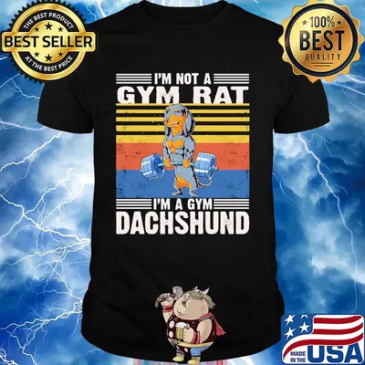 I'm Not A Gym Rat I'm A Gym Dachshund Gym Fitness Vintage Retro Shirt