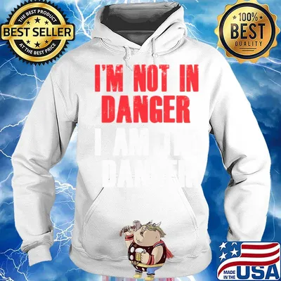 I'm not in danger I am the danger s Hoodie