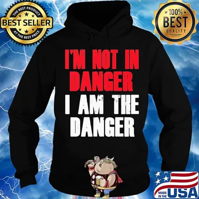 I'm not in danger I am the danger s Hoodie