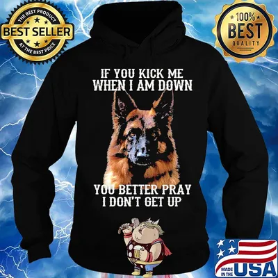 If You Kick Me When I Am Down You Better Pray I Don't Get Up Deutscher Schaferhund Shirt Hoodie