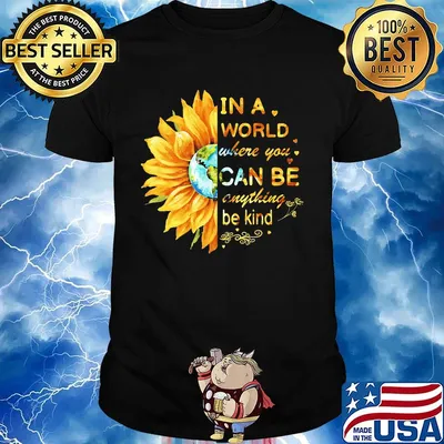 In a world where you can be anything be kind sunflower shirt