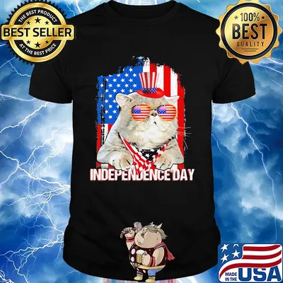 Independence day Cat american flag shirt