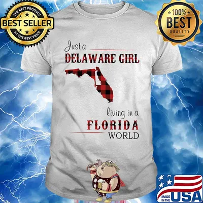 Just a delaware girl living in a florida world map shirt