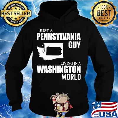 Just a pennsylvania guy living in a washington world map s Hoodie