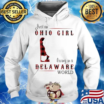 Just an ohio girl living in a delaware world s Hoodie