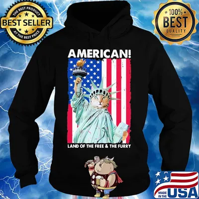 Land of the free and the furry Cat American flag veteran Independence Day s Hoodie