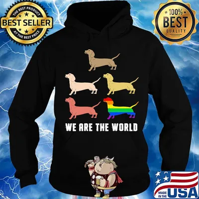 Lgbt dachshund dog we are the world s Hoodie