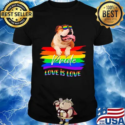 Lgbt pug pride love is love shirt