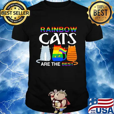 LGBT rainbow cats are the best shirt