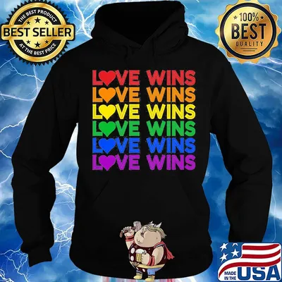 Love Wins Gay Pride LGBT Shirt Hoodie