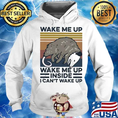 Mouse wake me up wake me up inside I can't wake up vintage retro s Hoodie