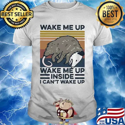 Mouse wake me up wake me up inside I can't wake up vintage retro shirt