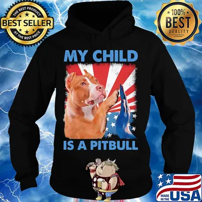 My child is a pitbull American flag veteran Independence Day s Hoodie