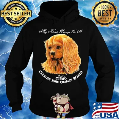 My heart belongs to a cavalier king charles spaniel dog s Hoodie