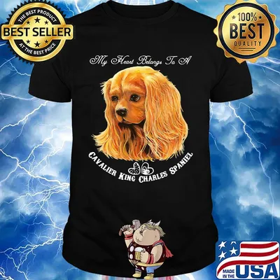 My heart belongs to a cavalier king charles spaniel dog shirt