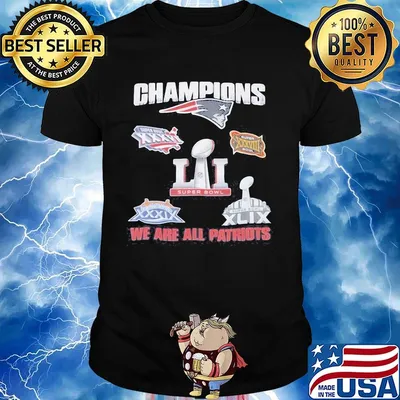 New england patriots champions we are all patriots shirt
