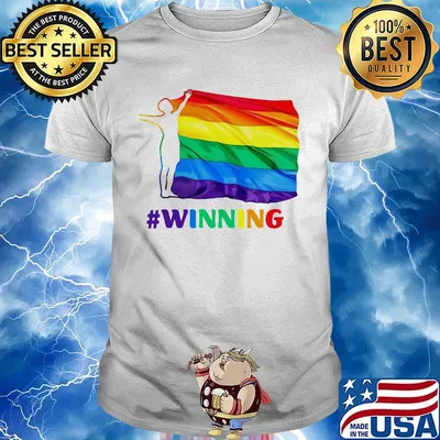 Official lgbt flag winning shirt