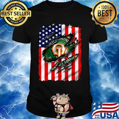 Old dominion freight line american flag happy independence day shirt