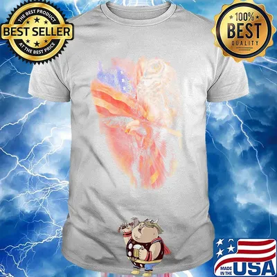 Owl American Wings Independence Day Shirt