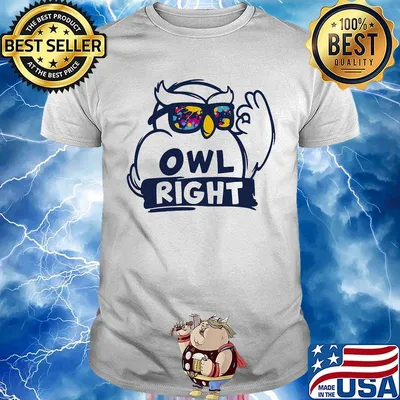 Owl right colors water shirt