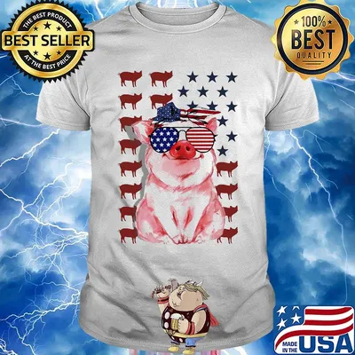 Pig American flag veteran Independence day shirt