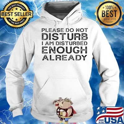Please do not disturb i am disturbed enough already 2020 s Hoodie