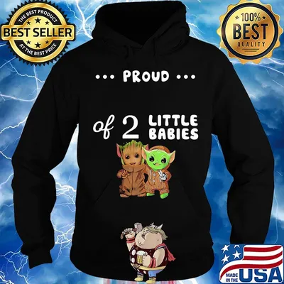 Proud of 2 little babies groot and yoda s Hoodie