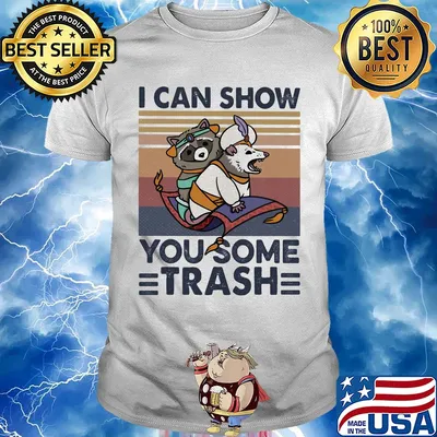 Raccoon I can show you some trash vintage retro shirt