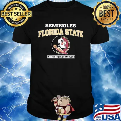 Seminoles florida state athletic excellence shirt