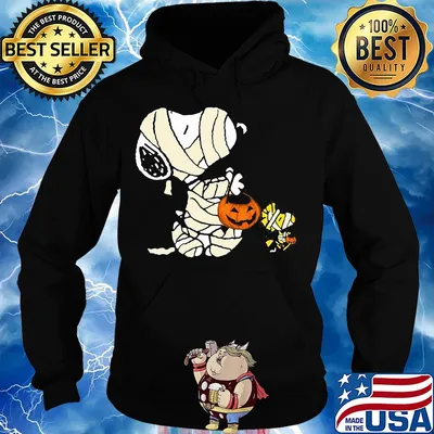 Snoopy and woodstock halloween pumpkin s Hoodie