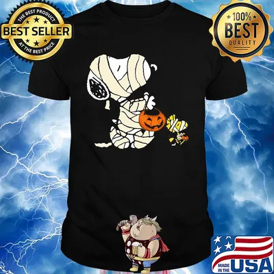 Snoopy and woodstock halloween pumpkin shirt