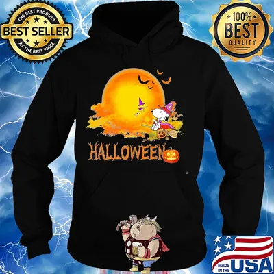 Snoopy and woodstock halloween s Hoodie