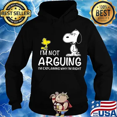 Snoopy woodstock i'm not arguing im explaining why i'm right s Hoodie