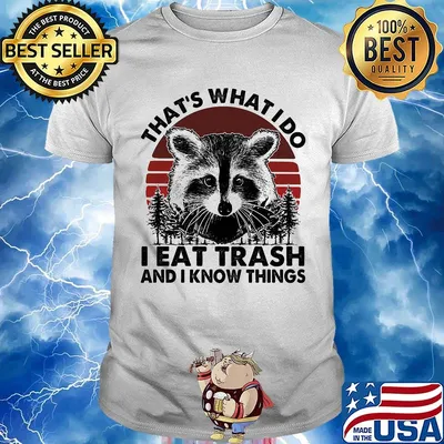 That's What I Do I Eat Trash And I Know Things Sunset Bear Shirt