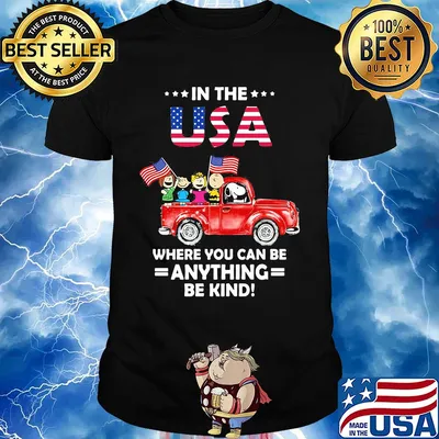 The peanuts in the usa where you can be anything be kind flag independence day shirt