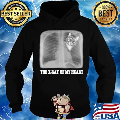 The Xray Of My Heart Cat Shirt Hoodie
