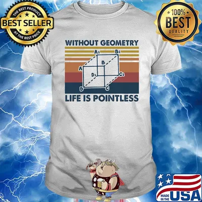 Without Geometry Life Is Pointless Mathematics Vintage Retro Shirt