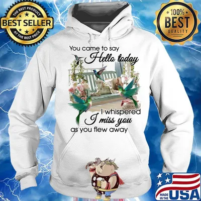 You Came To Say Hello Today I Whispered I Miss You As You Flew Away Hummingbird Porch Garden View Memory Shirt Hoodie